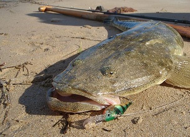 Early Christmas at the Basin